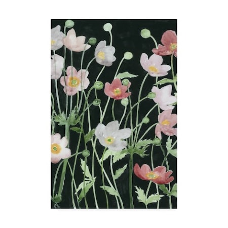 Grace Popp 'Anemone Dance I' Canvas Art,30x47